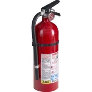 Kidde 21005779 Pro 210 Fire Extinguisher, ABC, 160CI, 4 lbs, 1 Pack