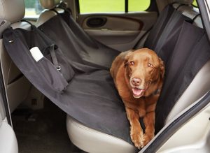 AmazonBasics Waterproof Hammock Seat Cover for Pets