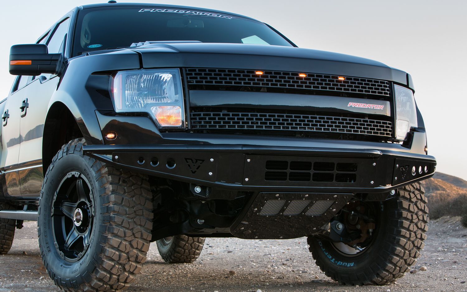 Ford F150 Grill